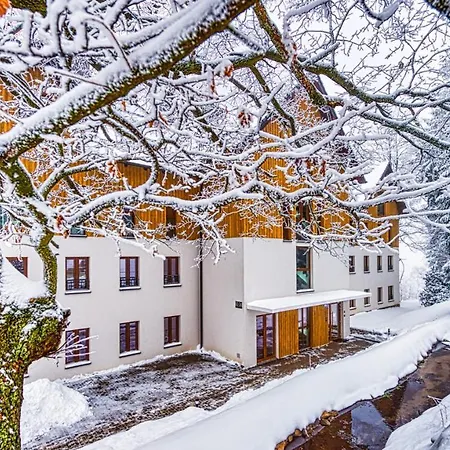 D19 Z Basenem, Sauna, Jacuzzi Park - 5d Schreiberhau