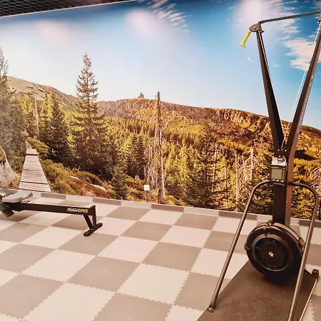 D19 Z Basenem, Sauna, Jacuzzi Park - 5d Apartman Szklarska Poręba