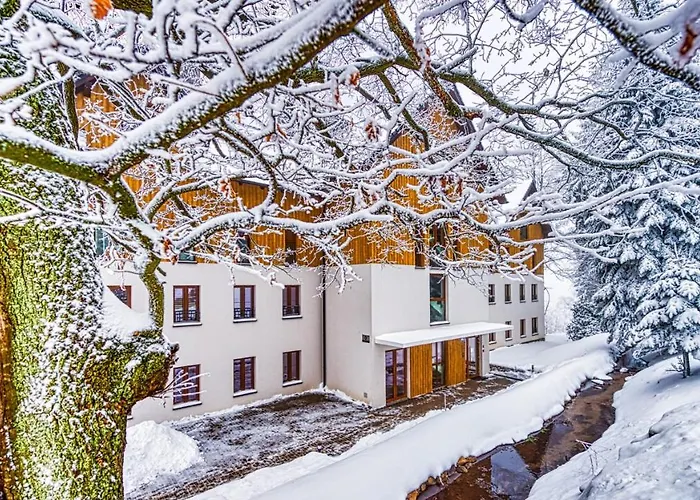 D19 Z Basenem, Sauną, Jacuzzi Park - 5d Schreiberhau